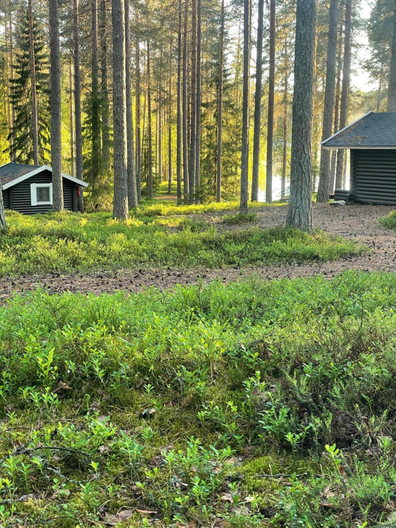 Laahtanen Camping Ristijärvi Екстериор снимка