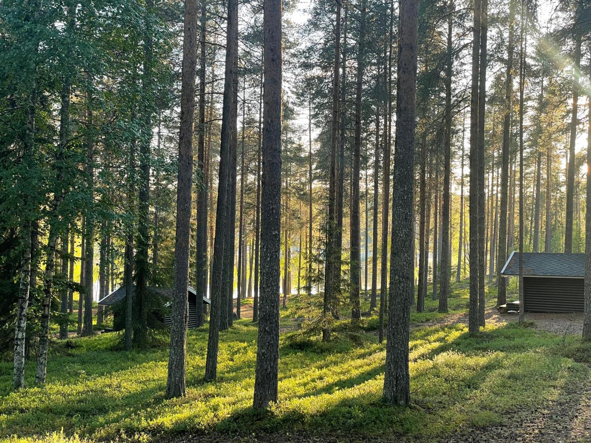 Laahtanen Camping Ristijärvi Екстериор снимка